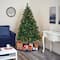 6ft. Pre-Lit Rocky Mountain Mixed Pine Artificial Christmas Tree, 300 LED Lights